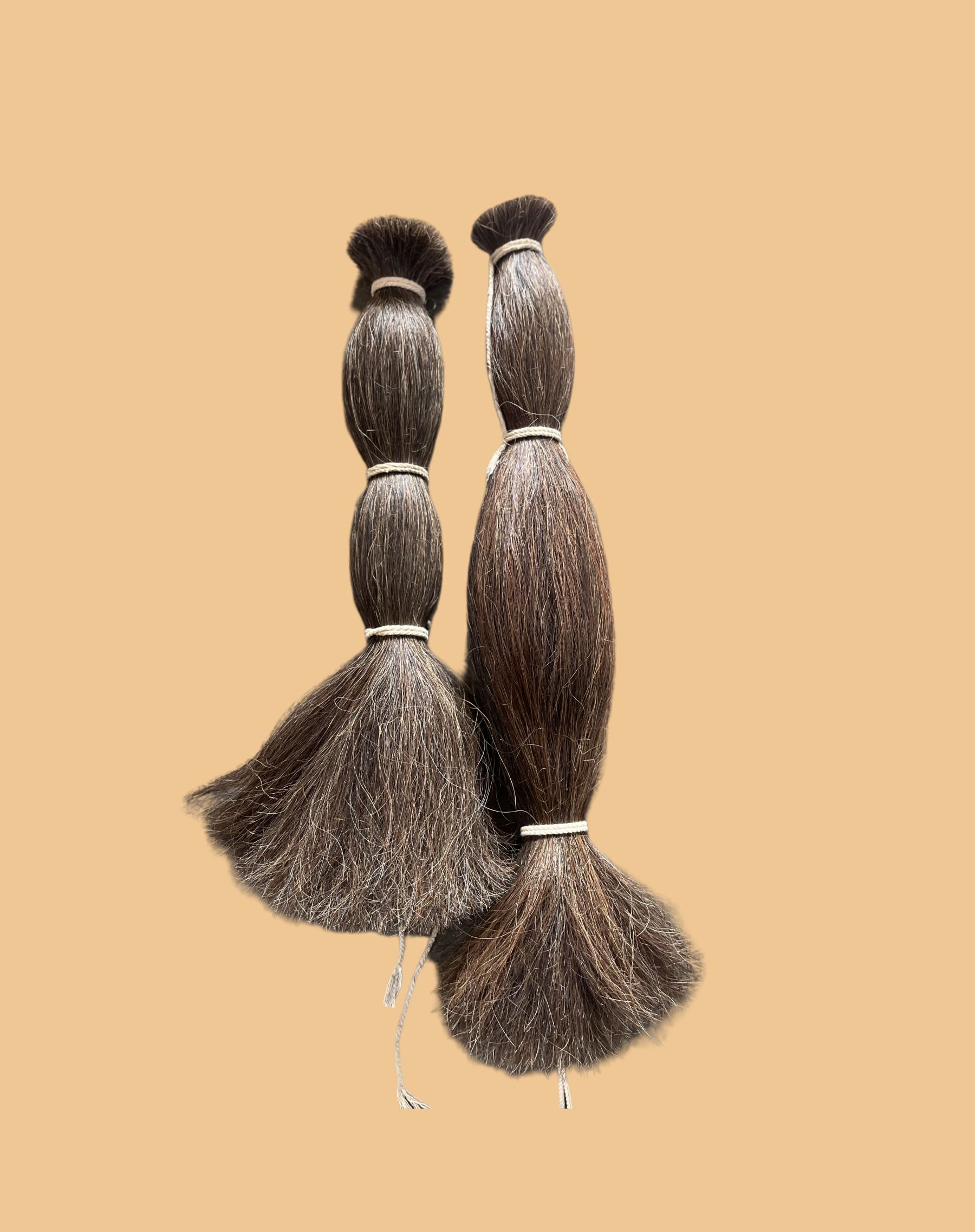 Unbound horsetail hair